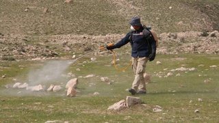 ФАО продвигает передовые методы борьбы с саранчой в Узбекистане