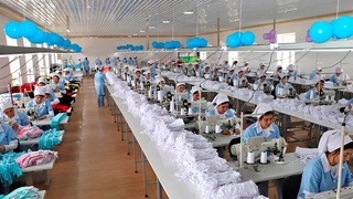 Ўзбекистондаги МИЗ, КСЗ, технопарк ва кластерлар фаолияти бўйича статистика маълум қилинди