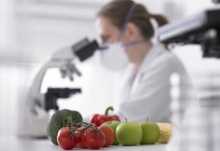 Узбекистан и Южная Корея усиливают взаимодействие в сфере фитосанитарного контроля