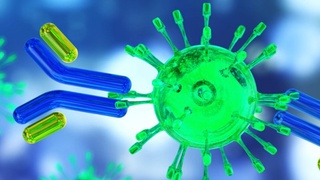 Келаси ҳафтадан Ўзбекистонда аҳолида антитаначаларни аниқлаш учун тест олиниши режалаштирилмоқда