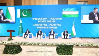 Взаимодействие бизнеса - решающий фактор развития узбекско-пакистанского экономического сотрудничества