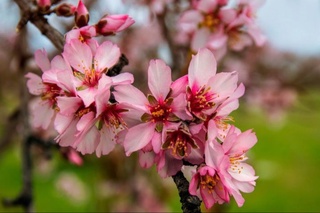 Hafta oxirida qanday ob-havo kuzatiladi?