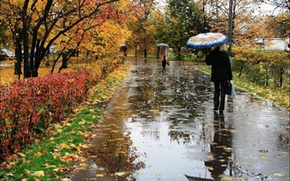 Прогноз погоды на 9 октября