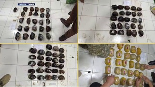 Tojikistondan olib oʻtilgan 100 kilodan ortiq narkotik moddalar aniqlandi