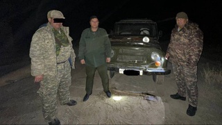 Head of forestry in Karakalpakstan detained for illegal hunting