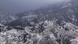 Дам олиш кунларида ёғаётган ёмғир қорга айланади