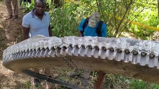 Keniyadagi qishloqqa kosmik chiqindi tushdi