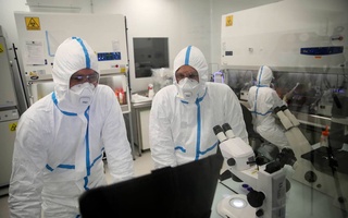 Маймун чечагининг Перу варианти аниқланди