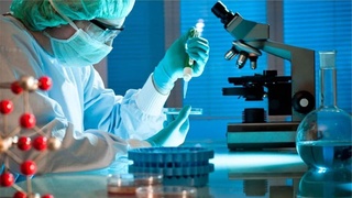 Биотехнологии: развитие новой отрасли науки