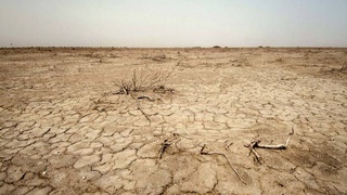 Пассажир с билетом, кричащий вслед уходящему поезду