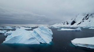 Арктика минтақасида ҳаво ҳарорати кўтарилишининг глобал оқибатлари маълум қилинди