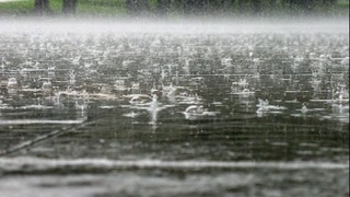 Toshkent shahrida mart oyidagi yoqqan yogʻin tarixiy rekordni yangilashi mumkin