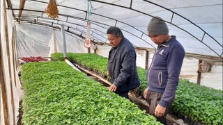 За каждым обращением - чья-то судьба