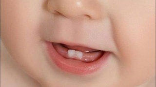 Сут тишлари қачон чиқа бошлайди?