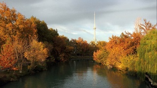 Weather forecast for November 21