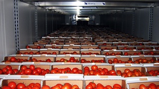 Фрукты из Узбекистана поедут в Россию в вагоне «с климат-контролем»