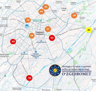 Качество воздуха в Ташкенте соответствует нормам безопасности для здоровья населения