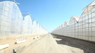 Кичик майдондан катта даромад