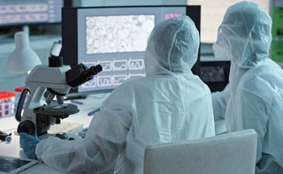 В Аргентине зафиксировали случай заражения человека лошадиным энцефалитом