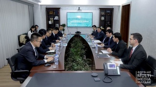 Хитой компанияси Ховос туманида агрологистик парк қуради