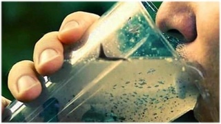 Вабо эпидемияси Сурияда 41 кишининг ўлимига сабаб бўлди