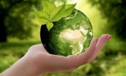 Атроф-муҳитга таъсири бўлган ҳамда Давлат экспертизасидан ўтказиладиган фаолият турларининг даражалари белгиланди