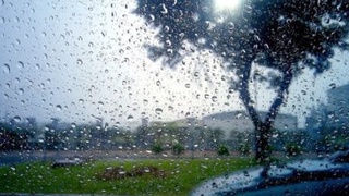 Бүгін Өзбекстанның басым бөлігінде уақыт-уақытымен жаңбыр жауады