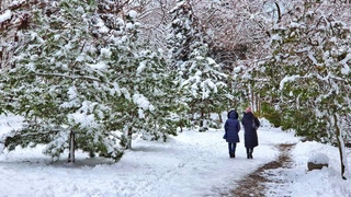 Узгидромет: в ближайшие дни в Узбекистане сохранится снежная и холодная погода