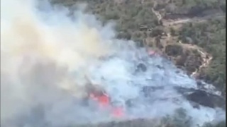 Boʻstonliqdagi tahminan 2 gektar yerda quruq oʻt va shox-shabbalar yonmoqda — Toshkent viloyati FVB