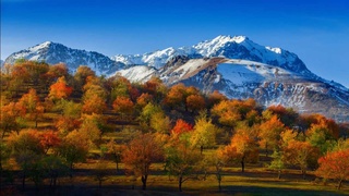 Тоғларда ёмғир қорга айланиши мумкин