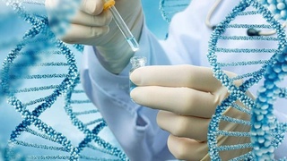 O‘zbekistonda o‘simliklar geni qanday asrab kelinmoqda?