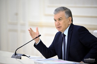 “Yangi Oʻzbekiston yoshlari” dasturi ishlab chiqiladi