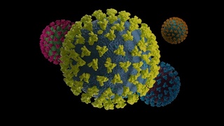 “Stels-Omikron” — pandemiya davridagi eng yuqumli shtamm