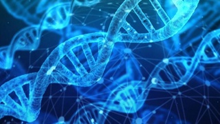 Представлена уникальная ДНК-вакцина против коронавируса