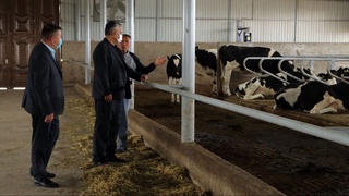 Как исполняются постановления в регионах?