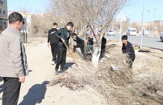 Талаба-ёшлар “Тоза шаҳар” акциясида фаол иштирок этмоқда