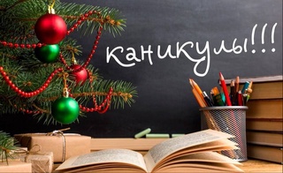 Winter holidays in schools will begin on December 28