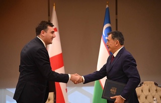 Vladimir Norov Gruziya tashqi ishlar vaziri bilan uchrashdi