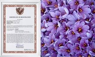 В США продлен срок разрешения на экспорт из Узбекистана шафрана