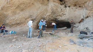 Surxondaryoning Xatak gʻorida yana bir neandertal odam makoni aniqlandi