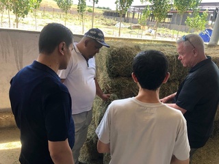 Chorva naslini yaxshilash, ozuqasini koʻpaytirishda xorij tajribacidan foydalaniladi