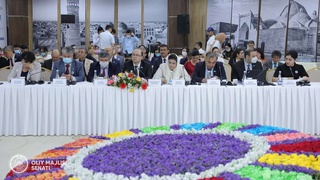 Парламент назорати, БРМ бажарилишини мониторинг қилиш ва баҳолаш