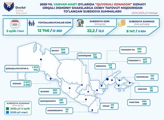 Установившим солнечные панели выдано более 8 млрд сумов субсидии
