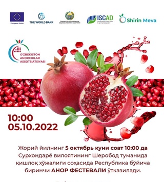 Юртимизда анор фестивали ўтказилади