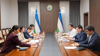 Uzbekistan and UNDP discussed promising projects in the field of "green" transport