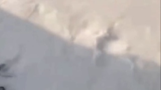 Катта ариққа қурилиш материалини оқизган фуқаро жазога тортилди