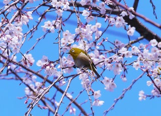 Прогноз погоды на 4 апреля