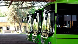 Удобный общественный транспорт - важный элемент комфортной городской жизни