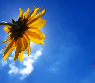 Өзбекстанда мереке күндері ауа райы қандай болады?