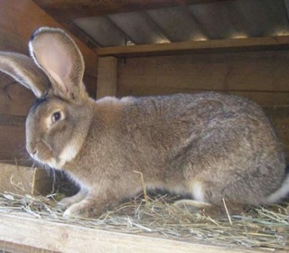 Истеъмолчининг ҳақи кўчада қолгани йўқ